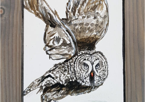 ... al volo ...2  - olio su tela 18x26 cm