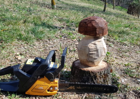 Fungo intagliato con motosega - scultura su noce - Maro, Maro, Castelnovo ne' Monti (RE)