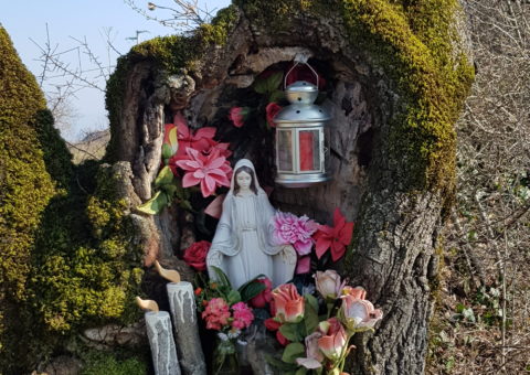 Ceri al vento - scultura su legno - loc. Crocetta di Maro, Castelnovo ne' Monti (RE)