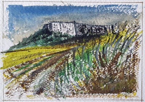 Biglietto di auguri 3 - acquarello 14,5x10,5 cm