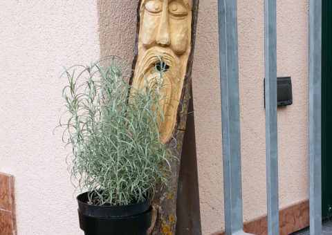 Gnomo portafiori - Pietramurata di Dro (TN)