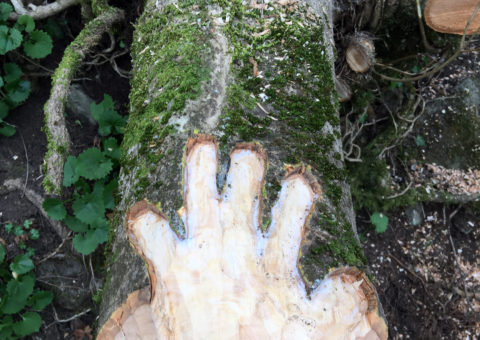 Gnomo dei desideri - lungo il sentiero da Sassolungo alla Ferrata Ovest