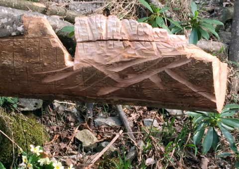 Pietra - lungo il sentiero da Sassolungo alla Ferrata Ovest dell'Ultimo Sole