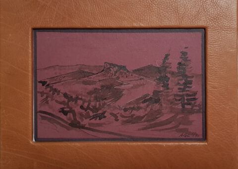 Pietra cornice pelle - acquarello/china 14x9 cm