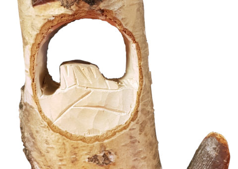 Betulla di Pietra 1 - scultura su betulla 22x12,5x7 cm
