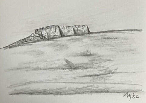 Vista da Vologno - carboncino su cartone 29x21 cm