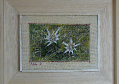 nei pressi di Punta Lasties (Sella) - olio su tela 13x20 cm