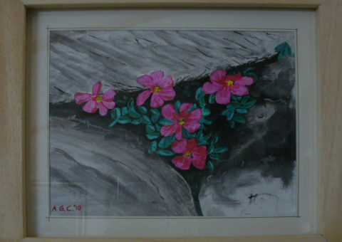 al Pizzini (Ortles-Cevedale) - acquarello su cartone 24x19,5 cm