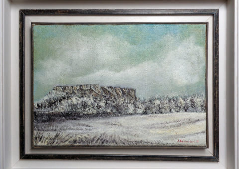 Ginepreto - olio su tela 43x30 cm