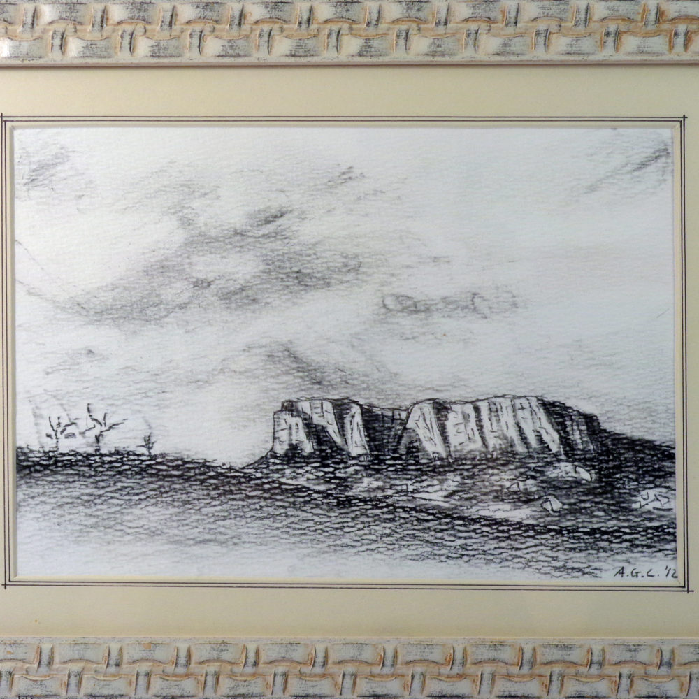 Bianco e Nero - carboncino su cartone 26x18 cm