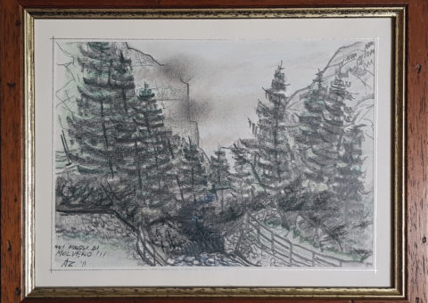Nei pressi di Molveno - pastello e carboncino su carta 15x21 cm