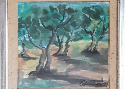 Uliveto - acquarello 20x20 cm