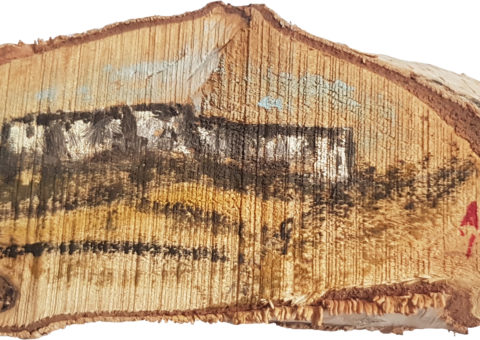 Pietra su betulla 1 - olio su legno 15x6,5 cm