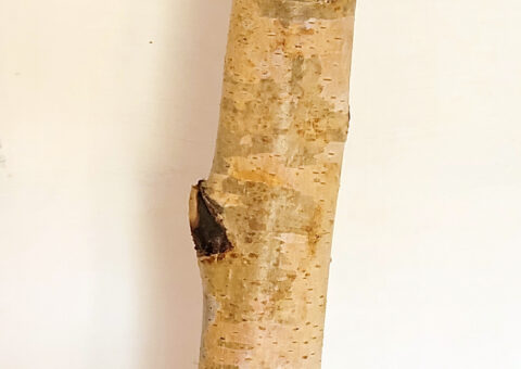 Cero 2 - scultura su legno 9x8x34 cm