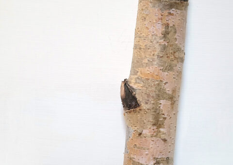 Cero 2 - scultura su legno 9x8x34 cm