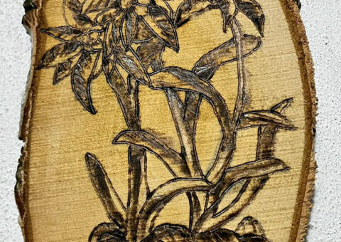 Flora alpina 2P - pirografo su legno 13x28 cm