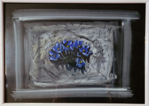 Genzianella - acquarello su cartone 29,5x21 cm