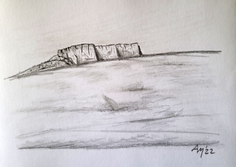 Vista da Vologno - carboncino su cartone 29x21 cm